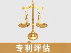 專利的價(jià)值評(píng)估，新手賣家必看