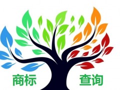 如何應(yīng)對(duì)商標(biāo)查詢盲期？